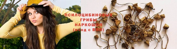не бодяженный Алзамай