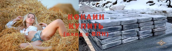 крисы Алексеевка