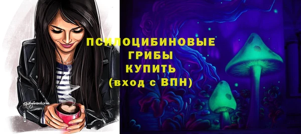 спиды Покров