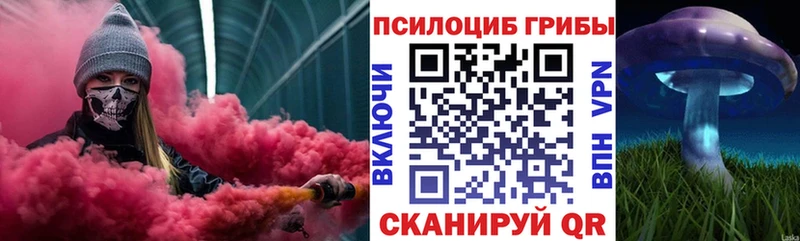 Галлюциногенные грибы прущие грибы  купить   Канаш 